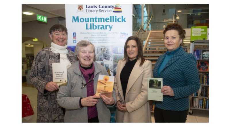 Learners at Mountmellick Library